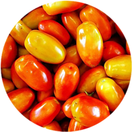 Image of fresh, vibrant tomatoes