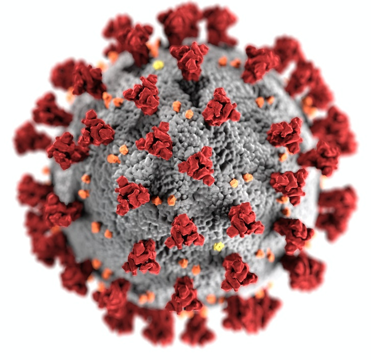 Stylised image of a virus molecule. 