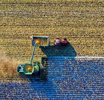 Aerial shot of a combine and a tractor with trailer, collecting the harvest. 