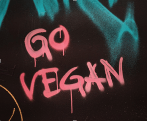 The message "Go Vegan" spray painted on a window. 