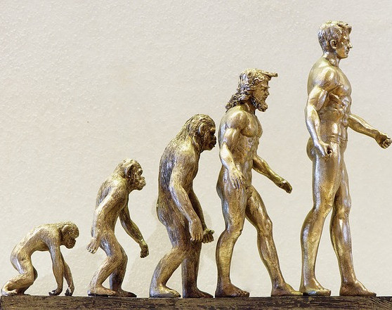 A bronze model depicting the evolution of man 