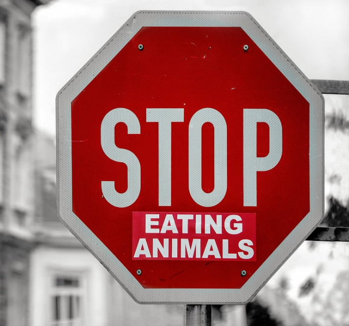 Red stop sign with a sticker added underneath saying: eating animals.