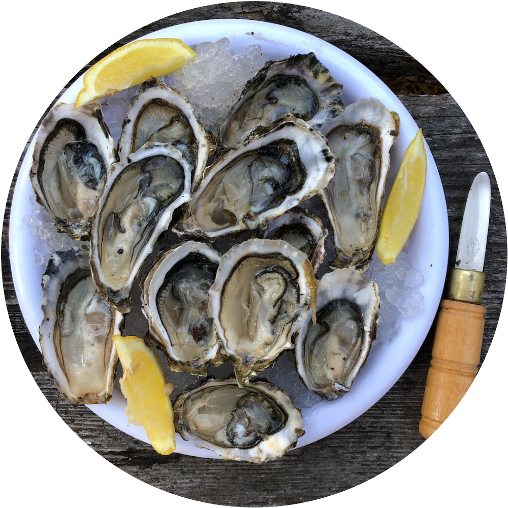 Where Do Vegans Draw The Line? (a nice slimy oyster?)