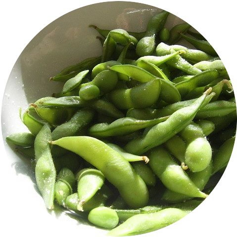 Soy beans in their pods.