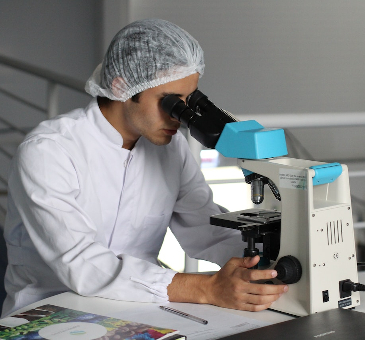 Scientist in the lab looking into a microscope. 
