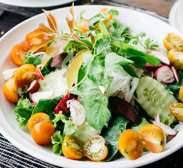 Plate of fresh salad vegetables. 