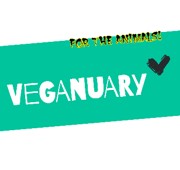 Veganuary logo on a green background. 