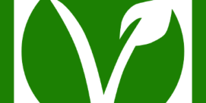 Vegan friendly icon in green