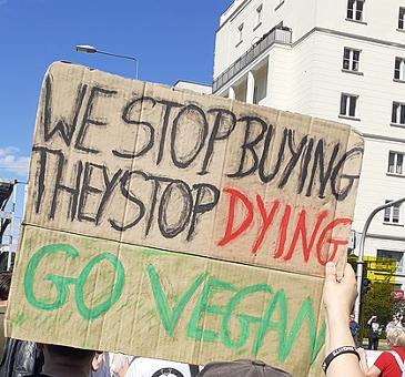 A sign held high at a protest reading "We stop buying, they stop dying - go vegan".