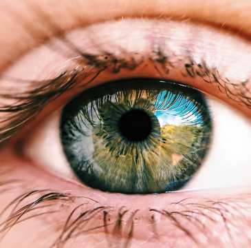 A close up of a green eye with reflections. 