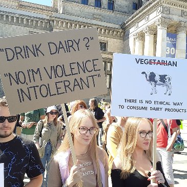 Vegan march with a woman holding a sign saying 'Drink dairy? No, I'm violence intolerant'.