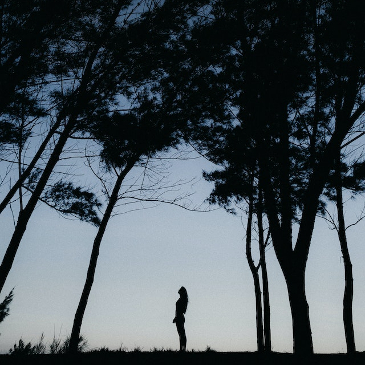 Woman looking up at tall trees as dusk falls. 