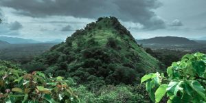 A lush, green rainforest with a small hill in the foreground.
