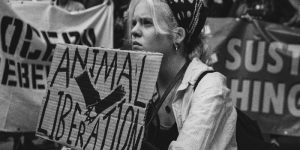 Black and white image of a protester holding up a sign which reads: Animal Liberation