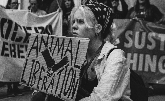 Black and white image of a protester sitting down with a placard reading "Animal Liberation" 