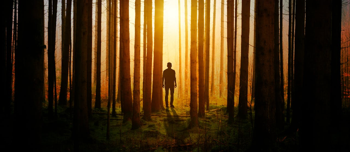 A shadowy figure silhouetted in the trees against a rising sun. 